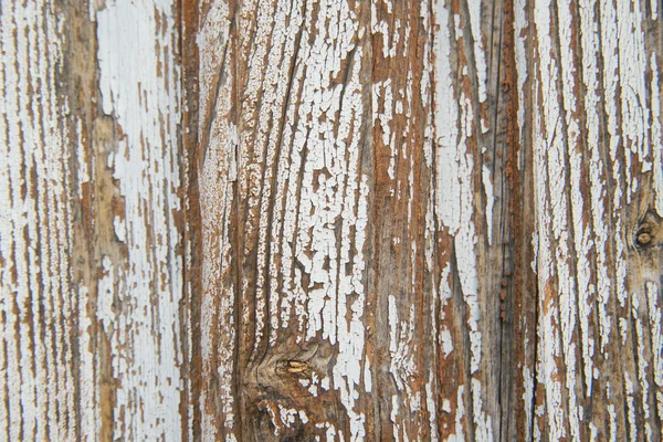 Uno sfondo di legno — Foto Stock