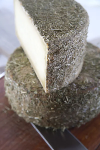 Pecorino-Käse — Stockfoto