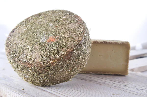 绵羊奶酪 — 图库照片