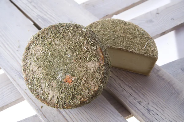 Pecorino peyniri — Stok fotoğraf
