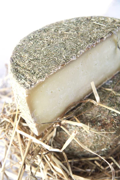 Pecorino cheese — Stock Photo, Image
