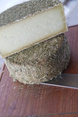 Pecorino peyniri