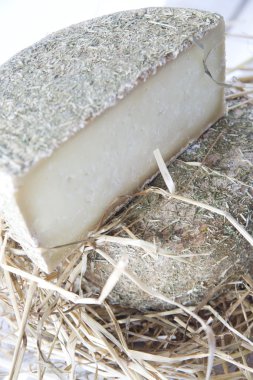 Pecorino peyniri