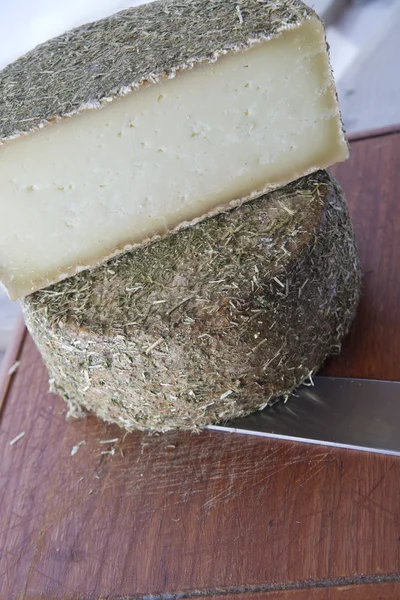 Pecorino cheese — Stock Photo, Image