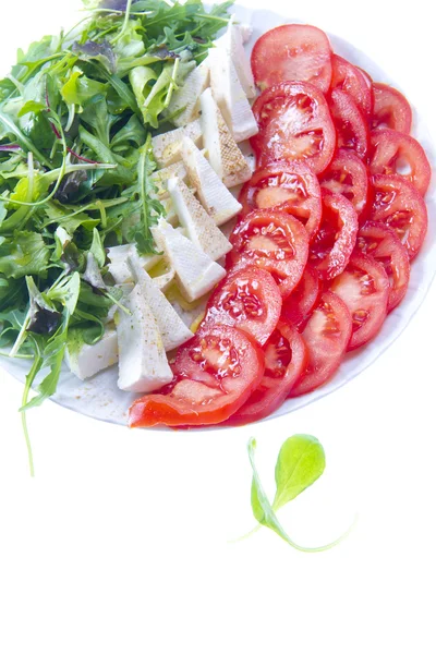 Триколорный салат — стоковое фото