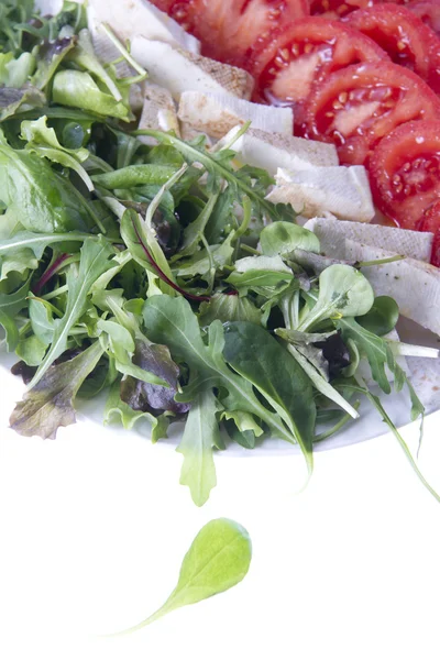 トリコロールのサラダ — ストック写真