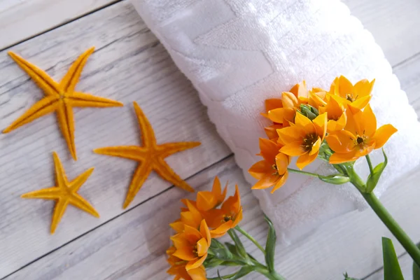 Весенние цветы и морская звезда — стоковое фото