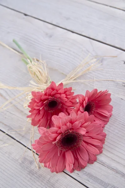 Lázeňské jarní květiny — Stock fotografie