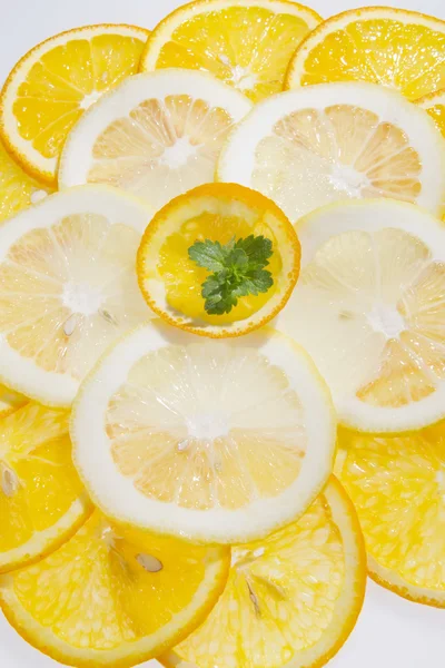 Fatias de citrinos — Fotografia de Stock