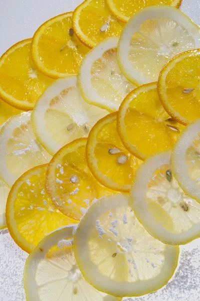 Skivor av citrusfrukter — Stockfoto