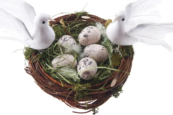 Easter doves — Stock Photo, Image
