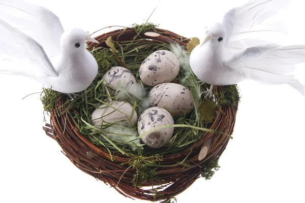 Easter doves — Stock Photo, Image