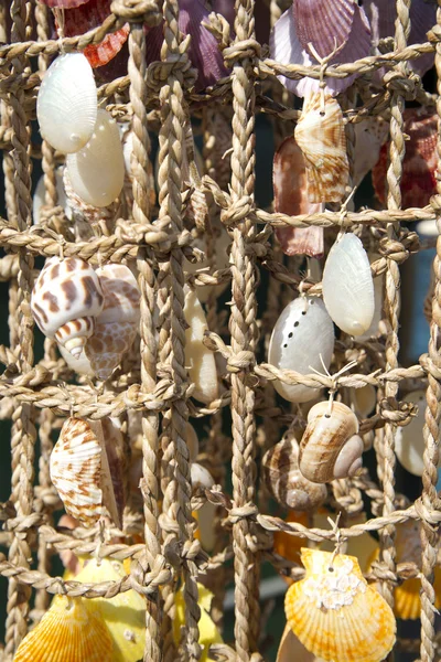 Sea shells on fishing net — Stock Photo, Image