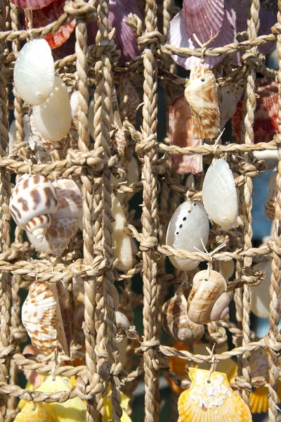 Sea shells on fishing net — Stock Photo, Image