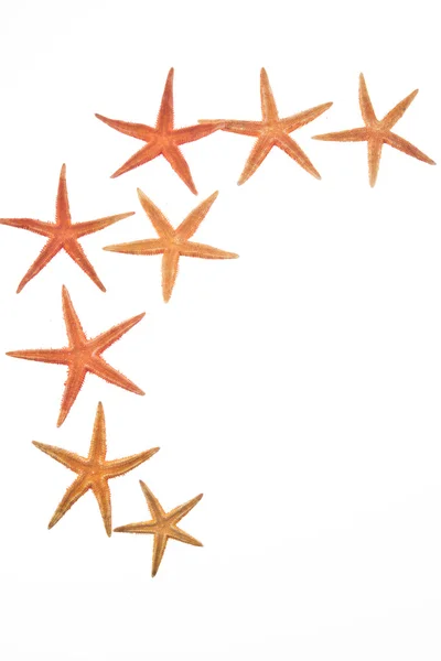 stock image Starfishes isolated on white background