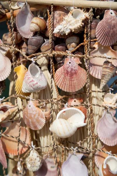 Zeeschelpen op visnet — Stockfoto
