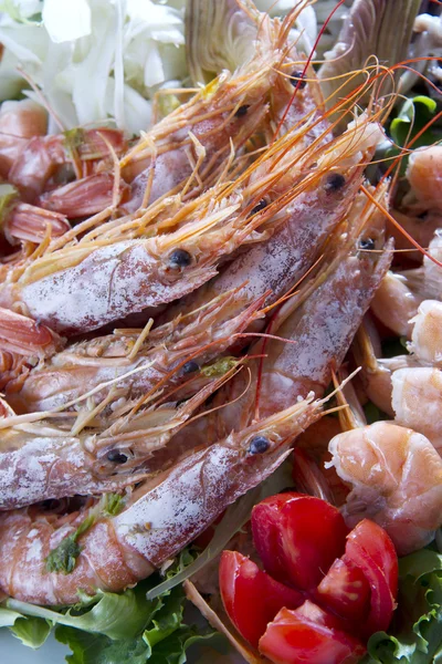 Plate of shrimps — Stock Photo, Image