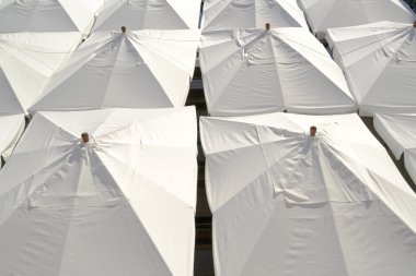 Market umbrellas clipart