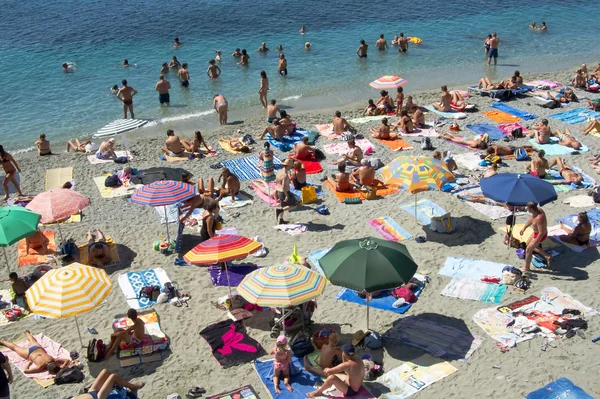 Crowded beach — Stock Photo, Image
