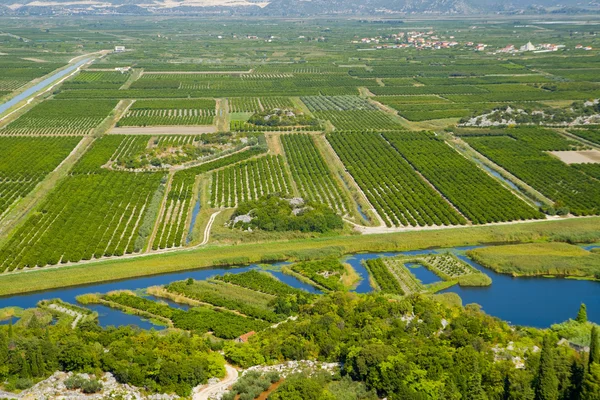 stock image Cultivated plain