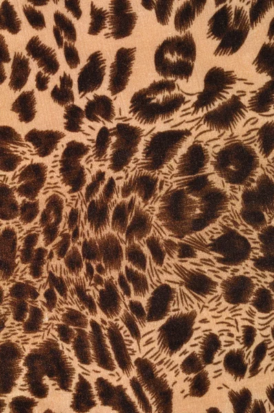 Leopardenfell — Stockfoto