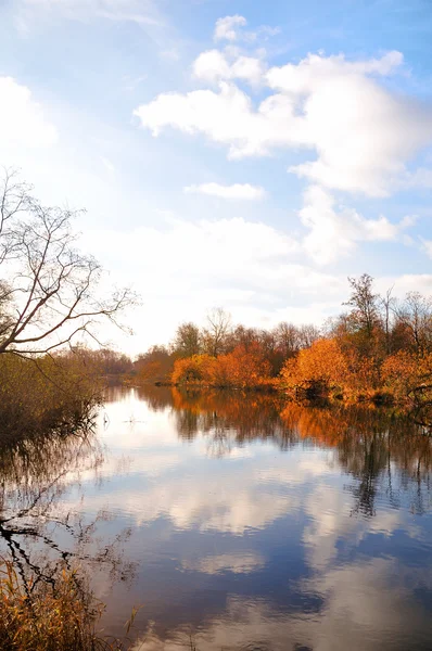 stock image Nature landscape