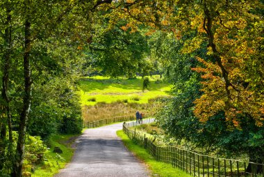 A couple walking through early Auumn woodland clipart