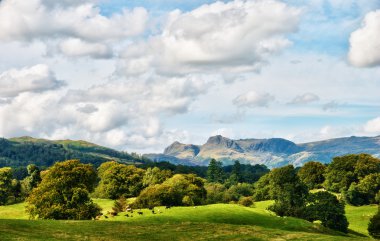 The Langdale Pikes viewed from Latterbarrow clipart