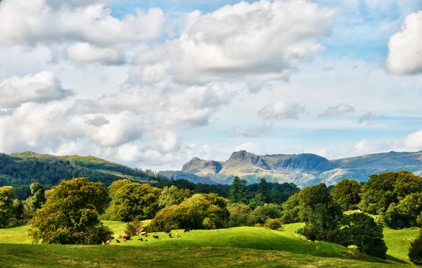 stock image The Langdale Pikes viewed from Latterbarrow