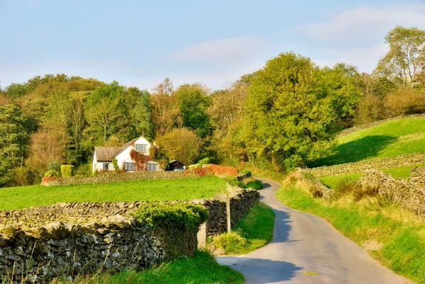 Country lane leading to a house — Stock Photo, Image