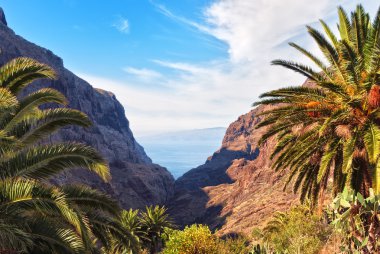 Masca Gorge, Tenerife clipart