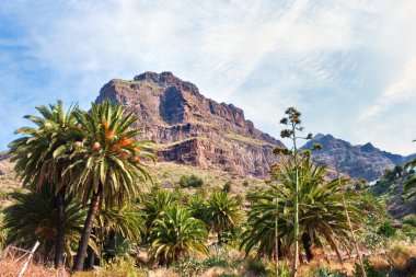 Mountain scene at Masca, Tenerife clipart