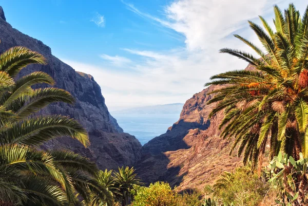 Garganta de Masca, Tenerife —  Fotos de Stock