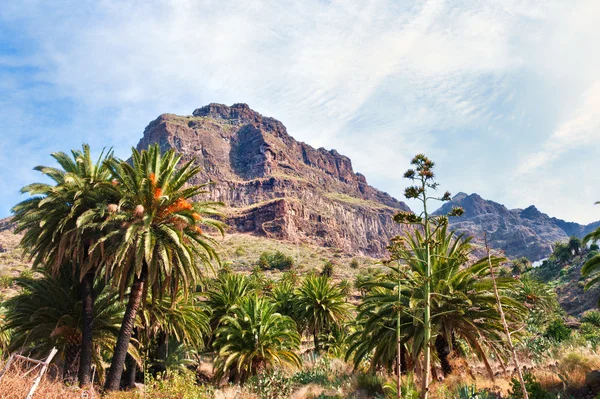 Mountain scene at Masca, Tenerife — Stock Photo, Image