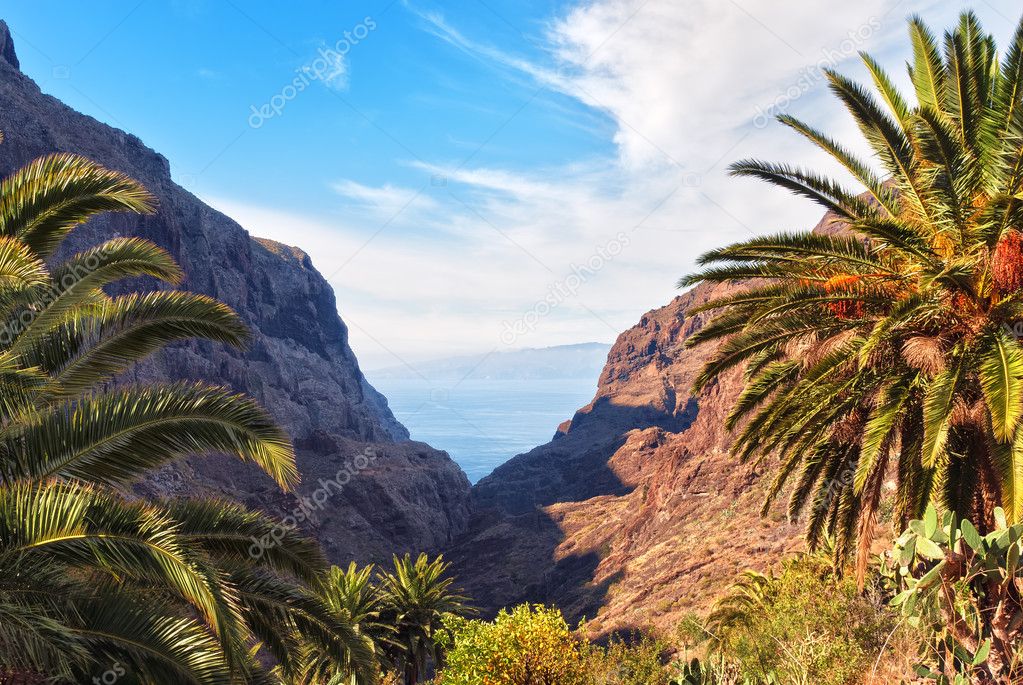 Masca Gorge, Tenerife