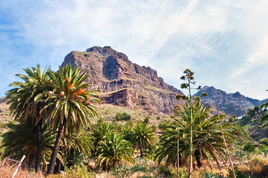 Mountain scene at Masca, Tenerife