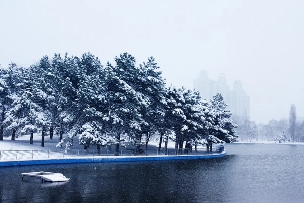 Χιονισμένο πάρκο — Φωτογραφία Αρχείου