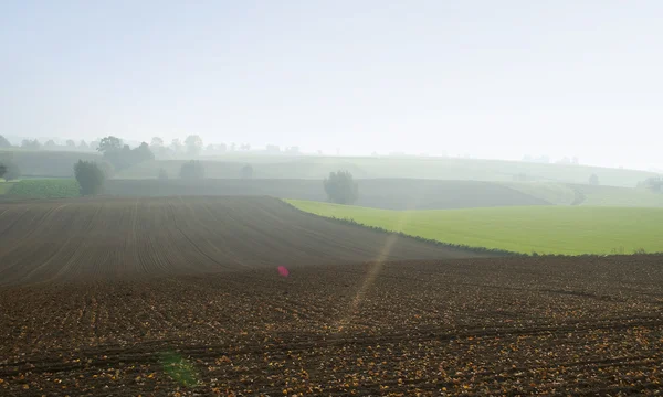 Fälten och solen — Stockfoto
