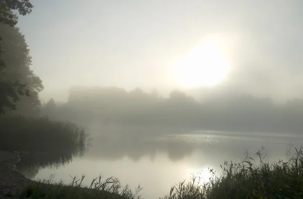 Утро и озеро — стоковое фото