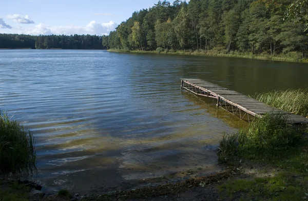 Sø i skov - Stock-foto