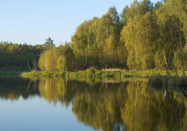 Lake i efteråret - Stock-foto