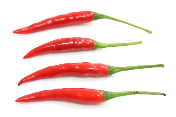 Piros forró chili paprika elszigetelt fehér alapon — Stock Fotó