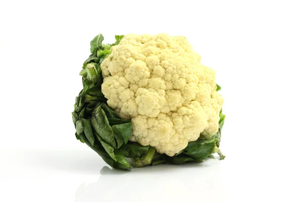 Cauliflower isolated in white background — Stock Photo, Image