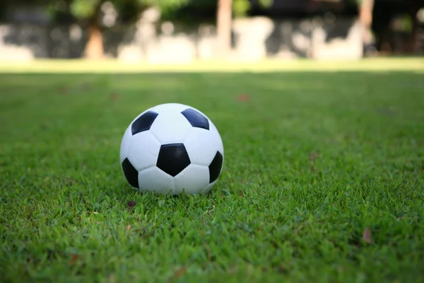 stock image Football on grass