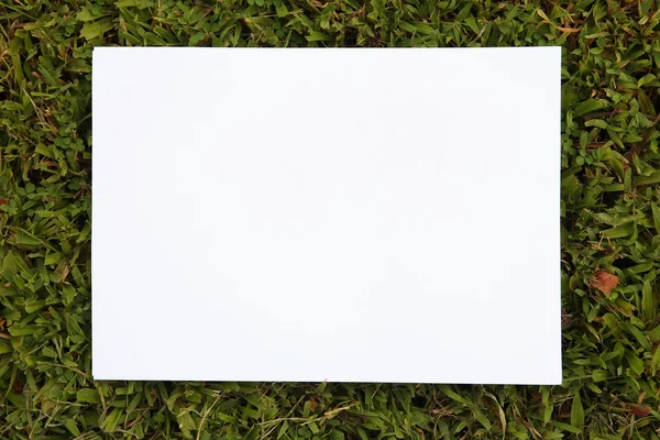 Papier op gras achtergrond — Stockfoto