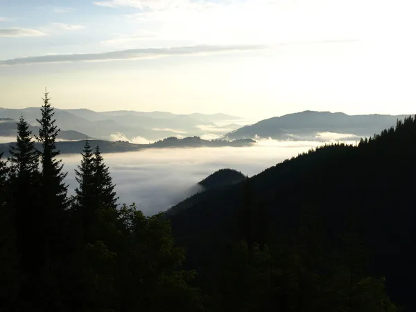 Nuages dans une vallée de montagne le matin — Photo