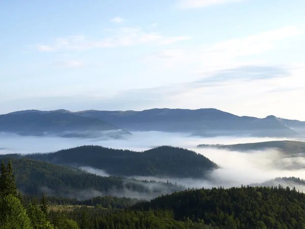 Misty Valley en las montañas boscosas —  Fotos de Stock