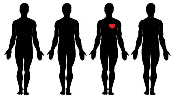 Aşkın anatomisi — Stok Vektör