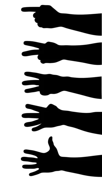 Подсчет рук — стоковый вектор