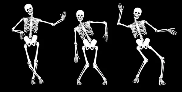 П'яний скелетів — стоковий вектор